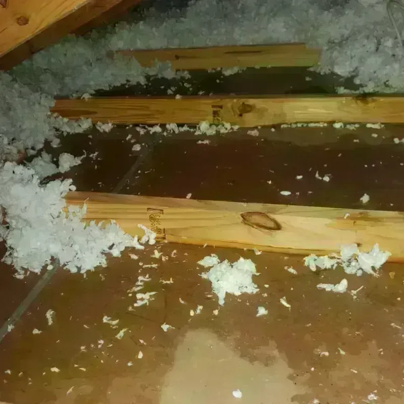 Attic Water Damage in Uvalde, TX